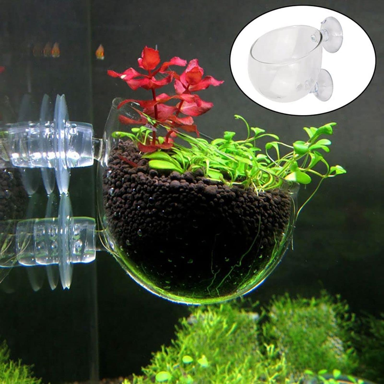 Горшок для водных растений, пр – обзор и цена Plant Growth Regulator