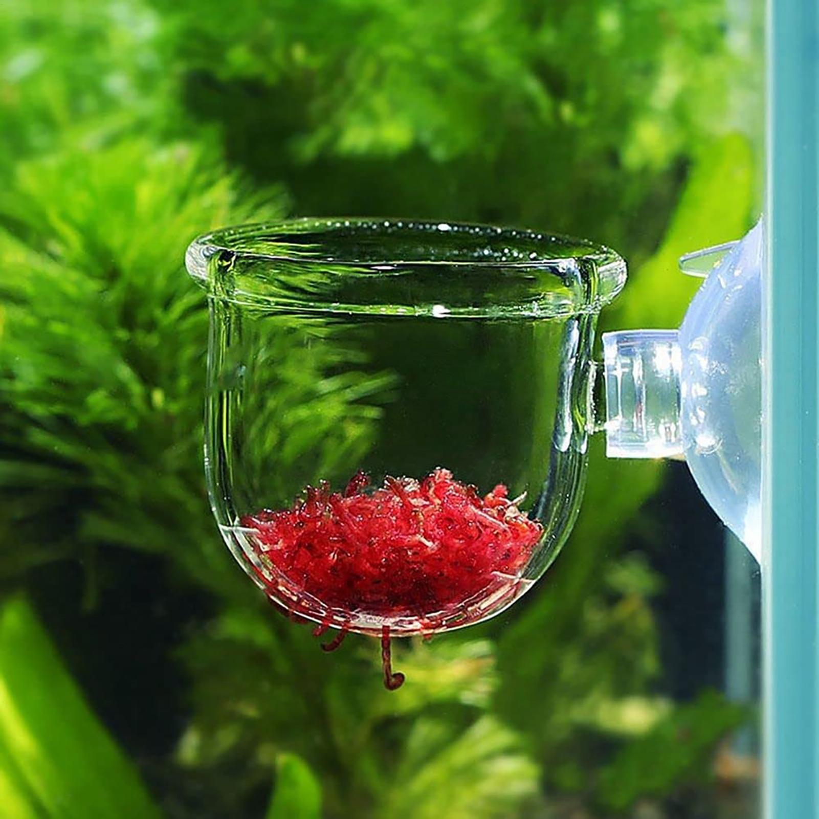 Горшок для водных растений, пр – обзор и цена Plant Growth Regulator
