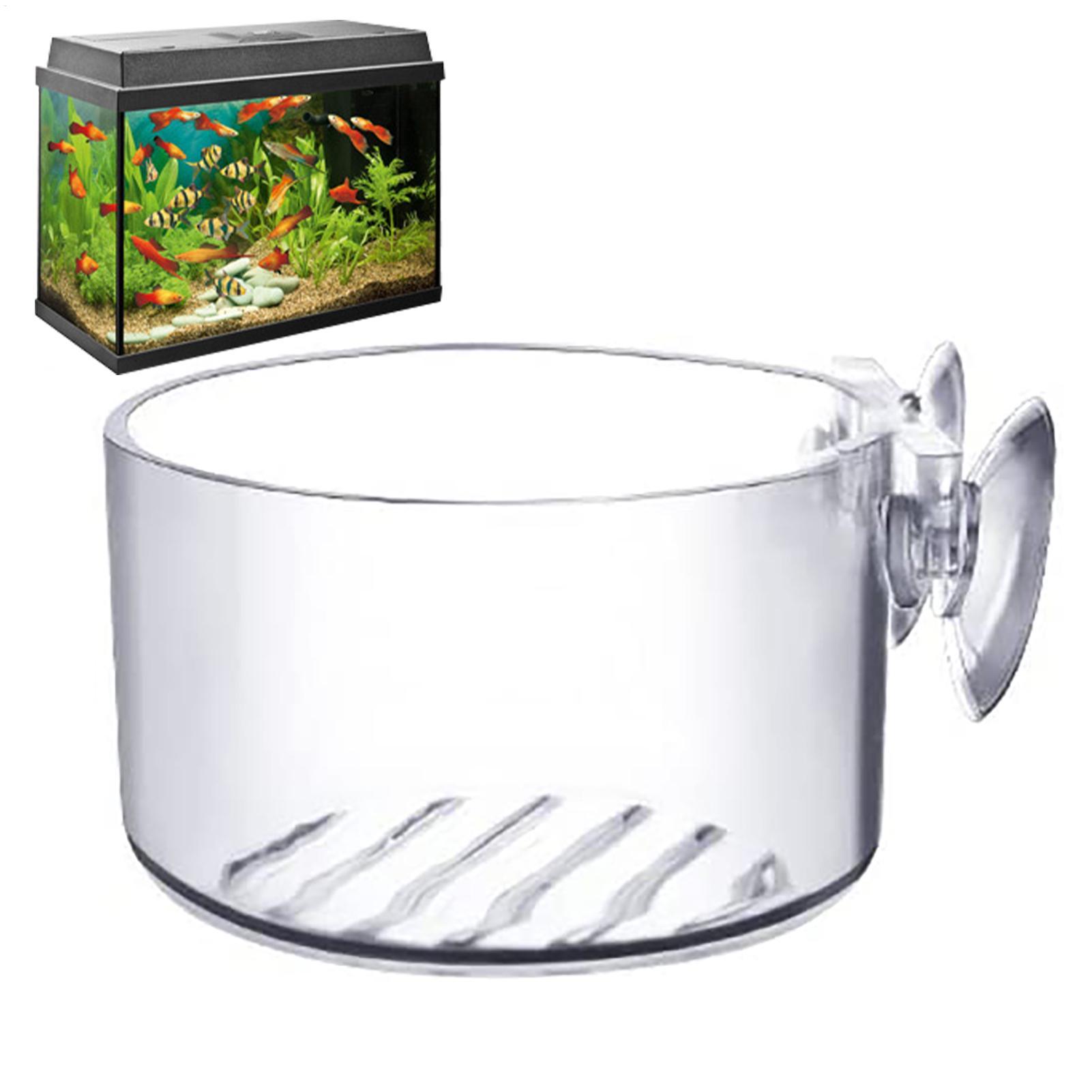 Aquatic Plant Pot Acrylic Aqua – обзор и цена Plant Growth Regulator